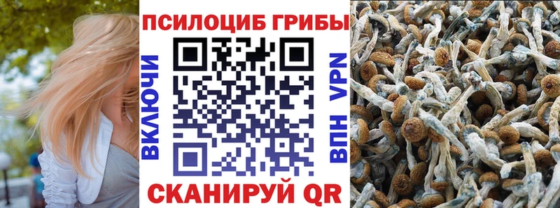 даркнет сайт  даркнет состав  Псилоцибиновые грибы MAGIC MUSHROOMS  Кудрово 