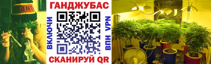купить   Кудрово  Каннабис ГИДРОПОН 